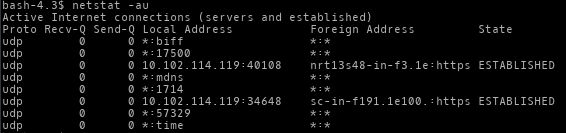 linux-command, list all only UDP connection, netstat