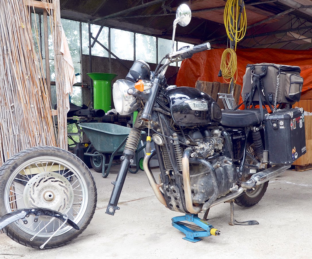 triumph bonneville single seat