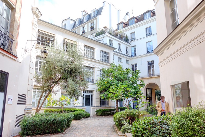 Paris Passage Dauphine, échappée verdoyante à SaintGermaindesPrés