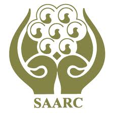 saarc cooperation ministers cumbre aplazamiento xix disaster
