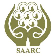 saarc cooperation ministers cumbre aplazamiento xix disaster