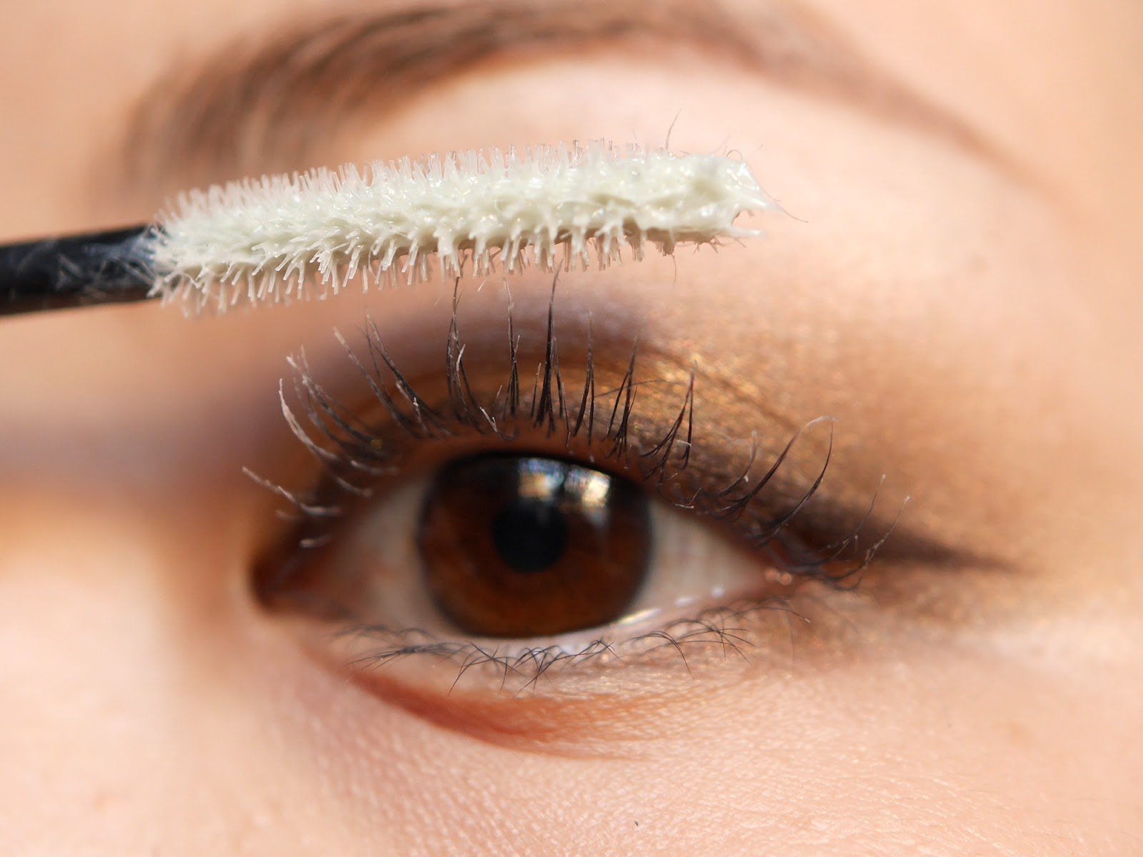 Fasio Mascara Base Long The Beauty Maniac in Tokyo