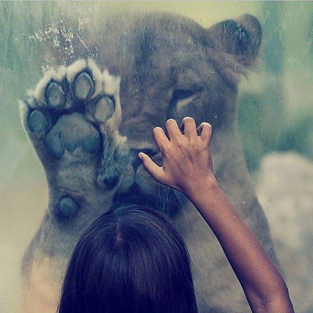 صور عميقة 2021 خلفيات جميلة جدا ذات معنى مصراوى الشامل