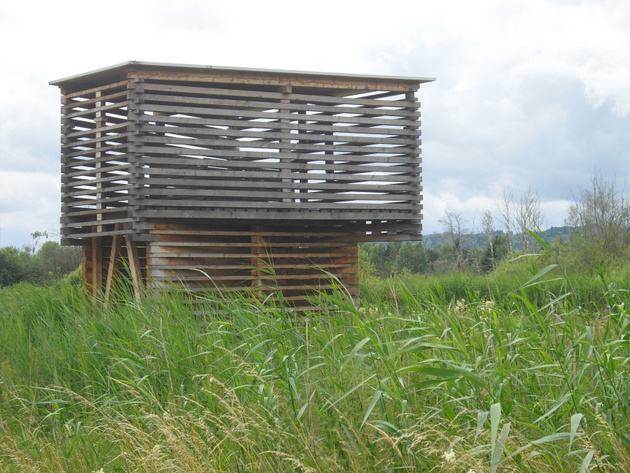 Vogel Vogel Des Jahres Von Thomas Brandt Die Bestandsentwicklung