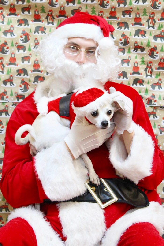 happyhazel Santa Happy meets Santa Claus at PetSmart! gatheraround