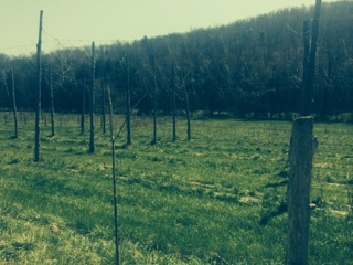 Hawksbill Cabin Visiting Swover Creek Farm Brewery