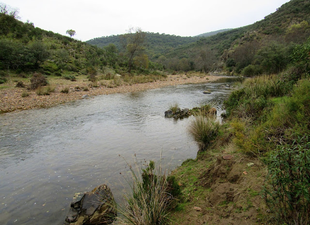 Río Estena. Parque Nacional de Cabañeros