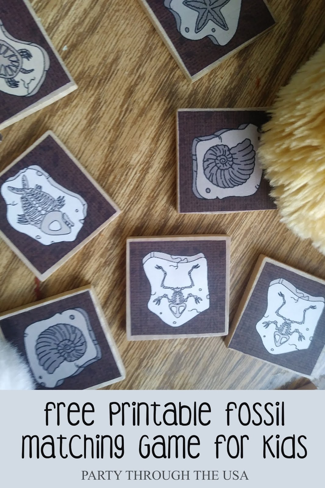 Fossil Dig Travel Matching Game