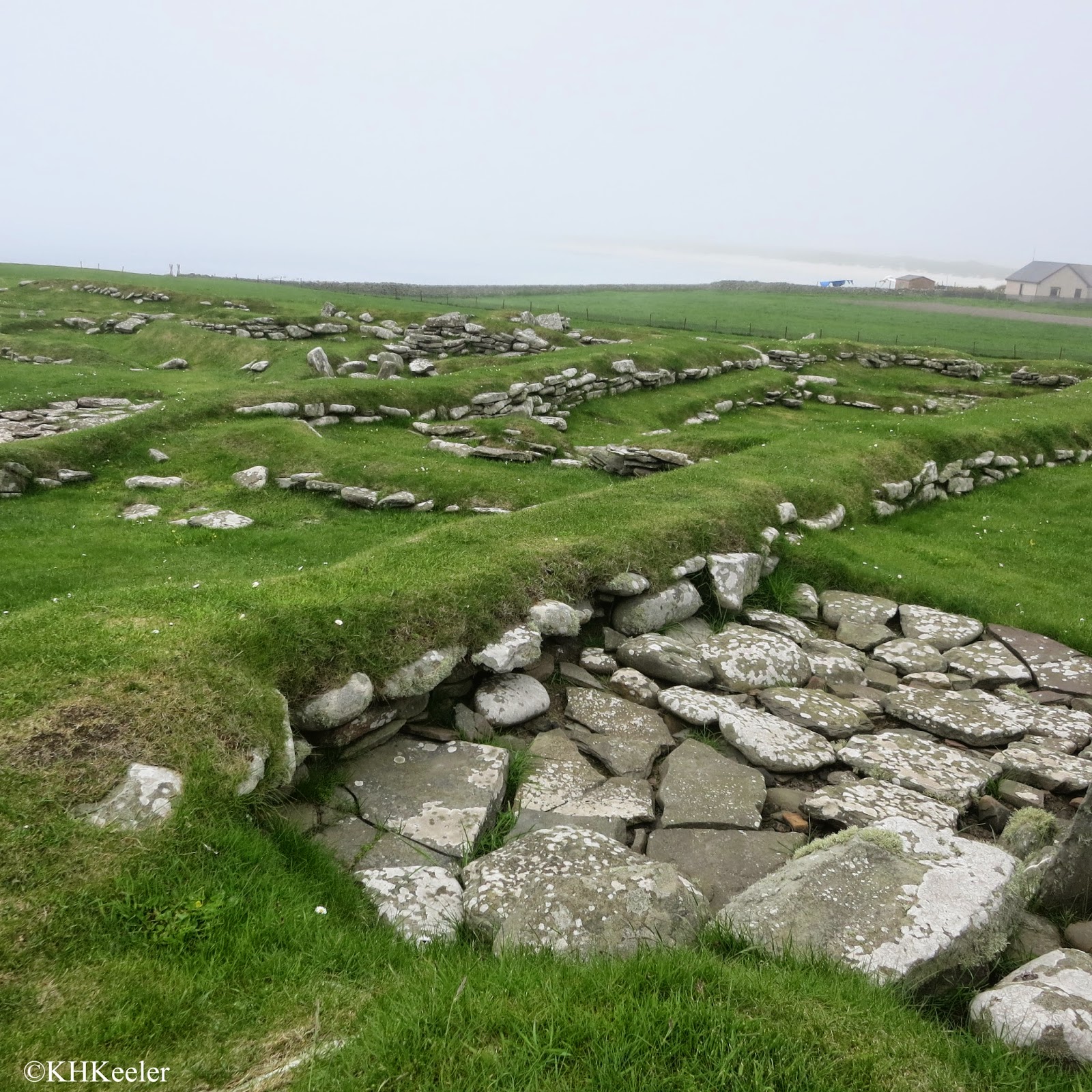 A Wandering Botanist: Visiting Scotland--A glimpse of Shetland's prehistory
