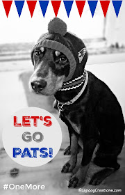 doberman mix rescue puppy wearing New England Patriots hat