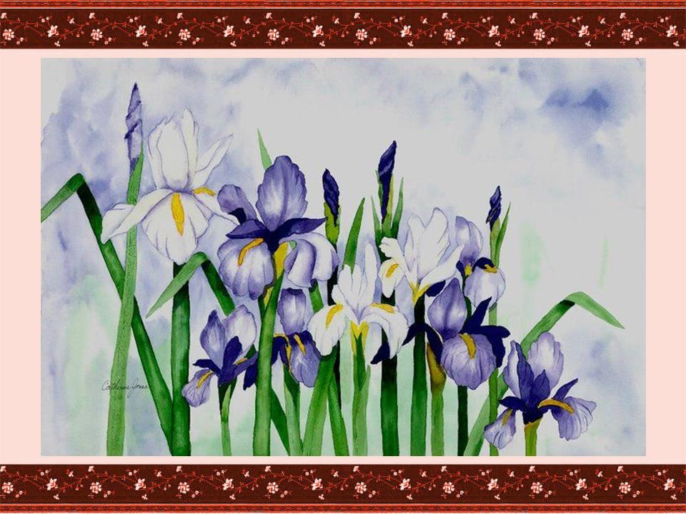Ирис цветовая схема. Asahi Original ирисы. Вышивка крестом цветы ирисы белые. Картина с голубыми ирисами Автор. Картина с ирисом шаблон.