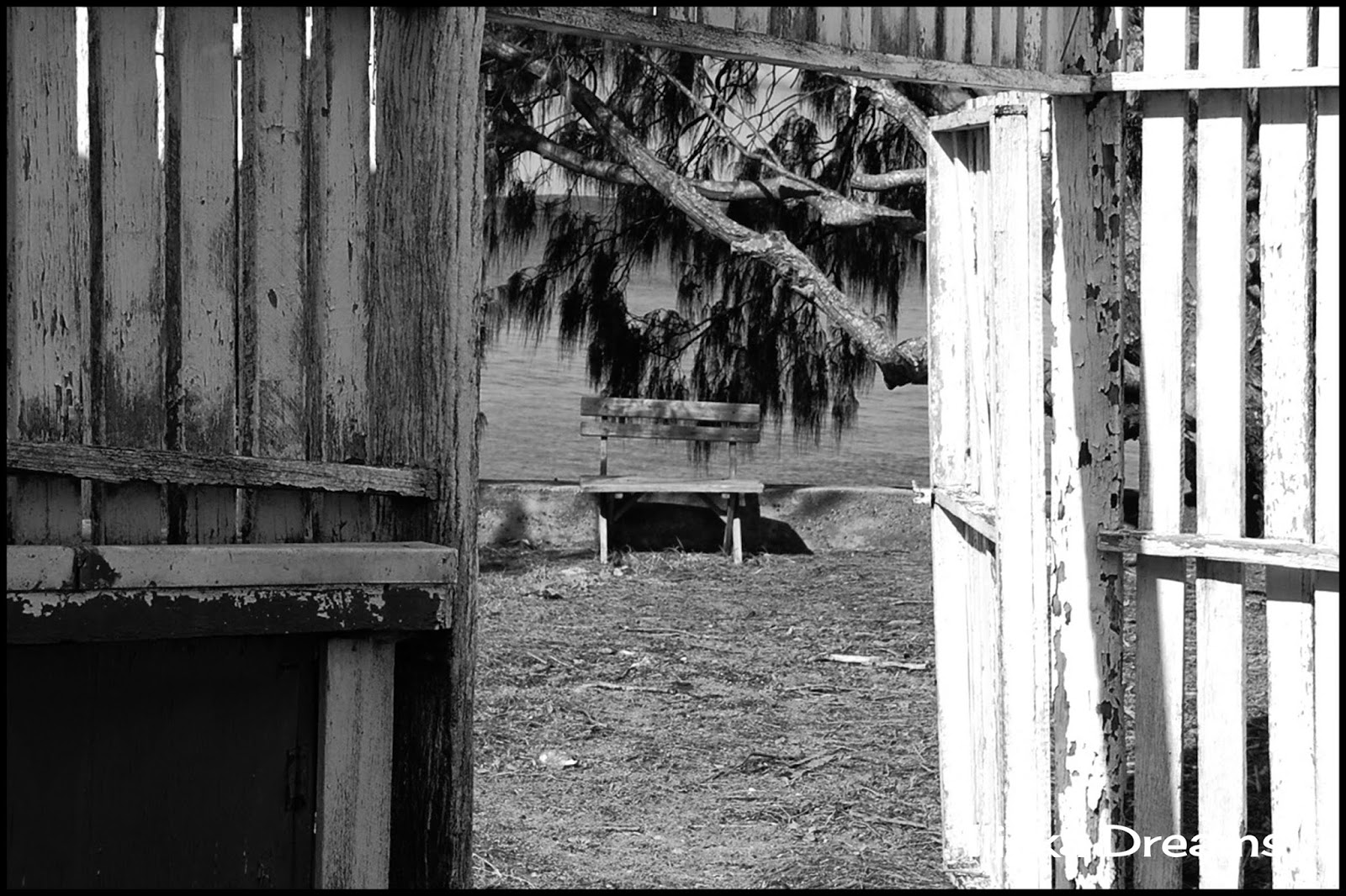 Iliska Dreams SLIDING DOORS MOMENTS