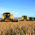 Paraná quer mais recursos e queda de juros no novo Plano Agrícola 