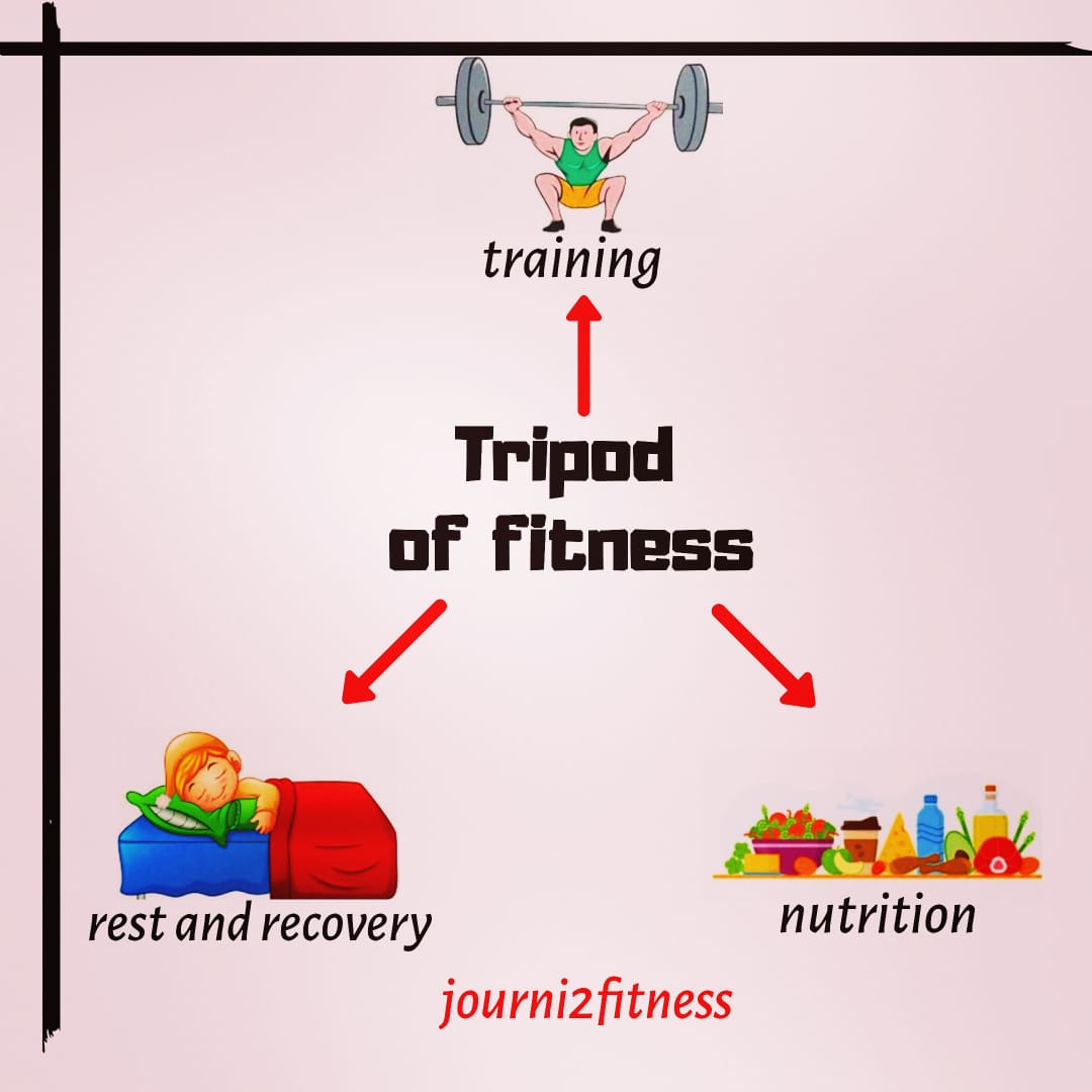 Tripod of fitness