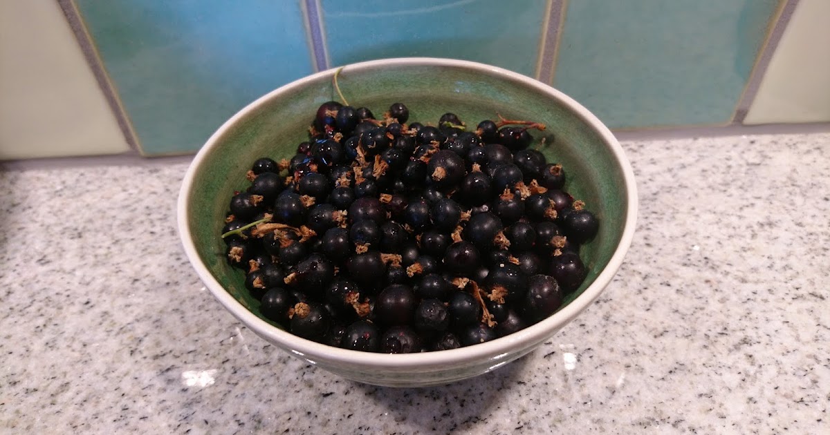 Kitchen of Kiki Blackcurrant jam classic version without addition of