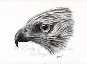 10-Hawk-Bird-Zindy-Nielsen-Fantasy-Animals-Meet-Realistic-Ones-www-designstack-co