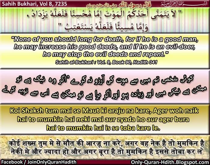 sunan abu dawud vol 5 pdf