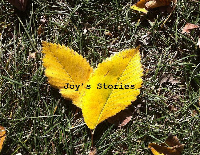 Joy's Stories