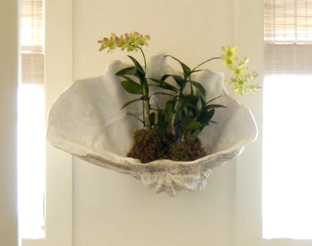 Giant Clam Shells Decorating Ideas Coastal Decor And Clam Shell Wall Planter