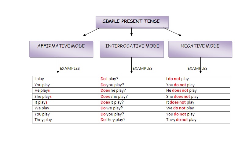 Present simple affirmative reading