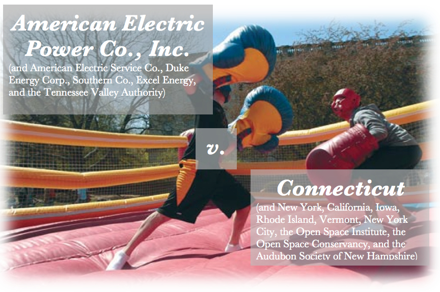 EcoJurist: Environmental Law Society of New York Law School