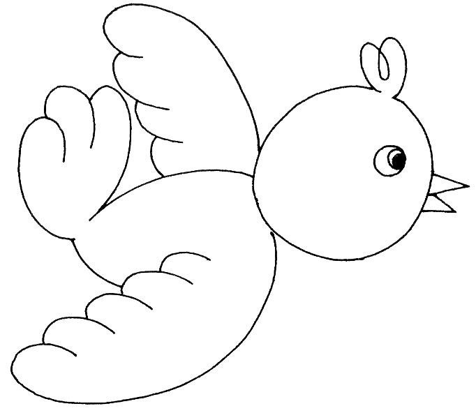 35 desenhos de pÁssaros para colorir pintar imprimir ou preparar