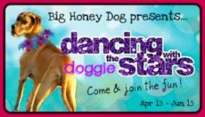 Dancing with the Doggie Stars Contest!