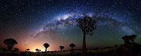 Milky Way Galaxy Quiver Tree Forest