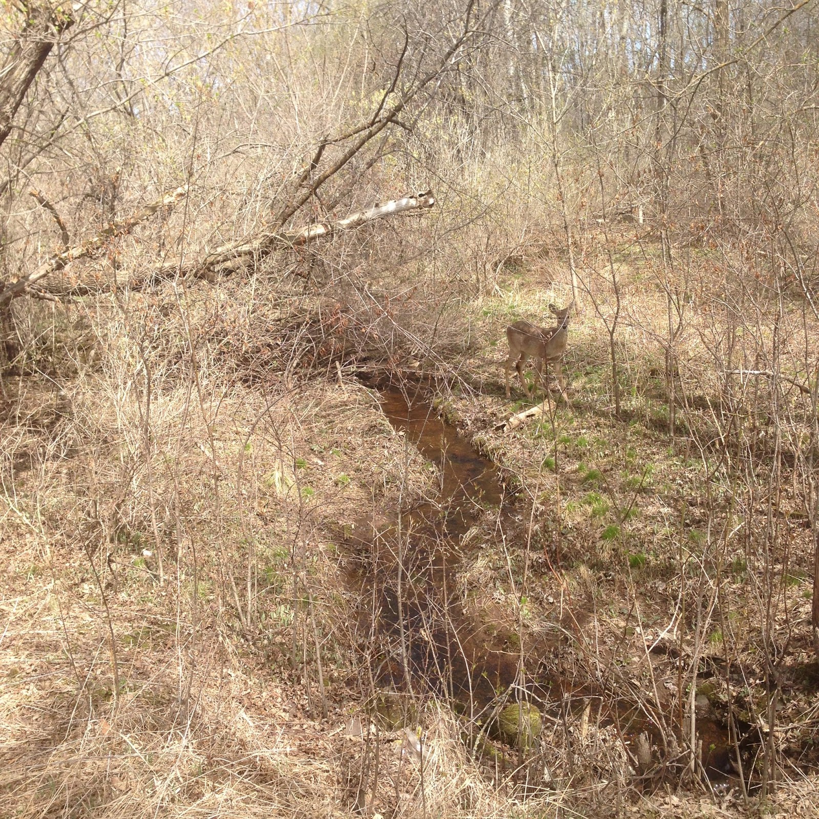 Food Write The Secret Greenhouse (Sandstone, MN)