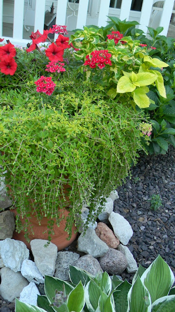 Forever Decorating!: Front Yard Gardens 2013!