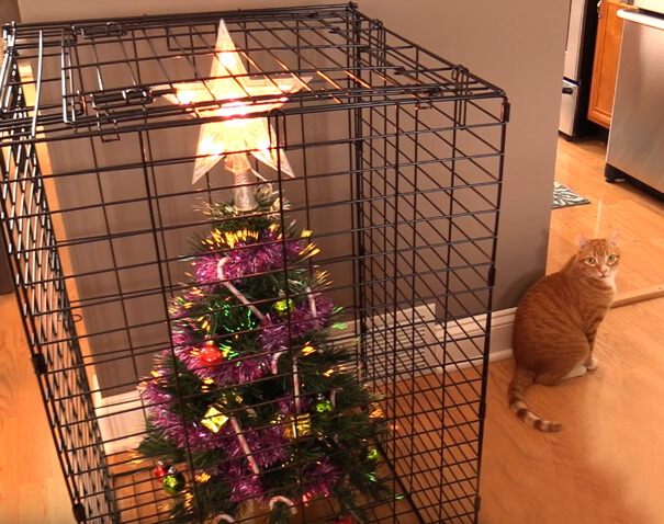 These Geniuses Found A Way To Protect Their Christmas Trees From Their Cats And Dogs These Geniuses Found A Way To Protect Their Christmas Trees From Their Cats And Dogs