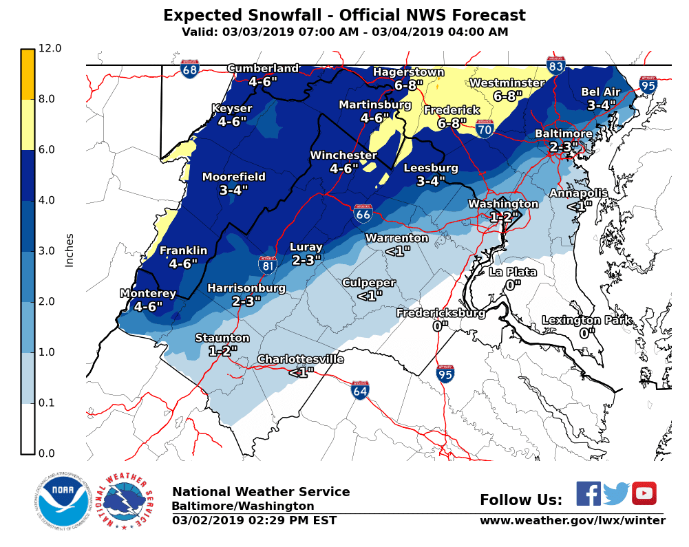 Foots Forecast