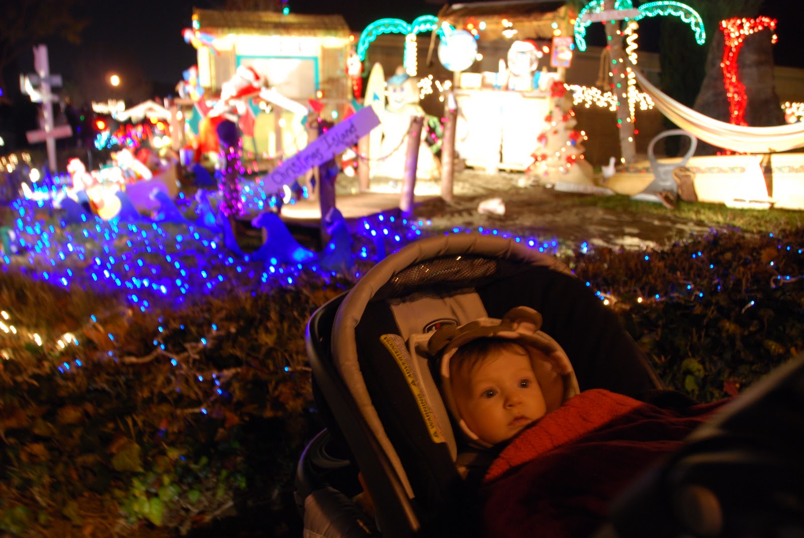 All Things Elise & Alina Dovewood Court Holiday Lights 2011