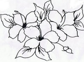 desenho de flores hibiscos