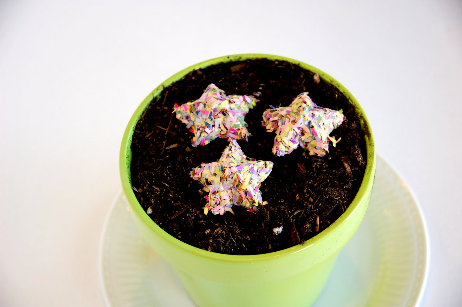 restlessrisa: SEED BOMBS!
