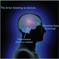 whole brain teaching, does whole brain teaching work