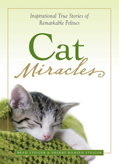 Блог Кота Васьки Cat miracles