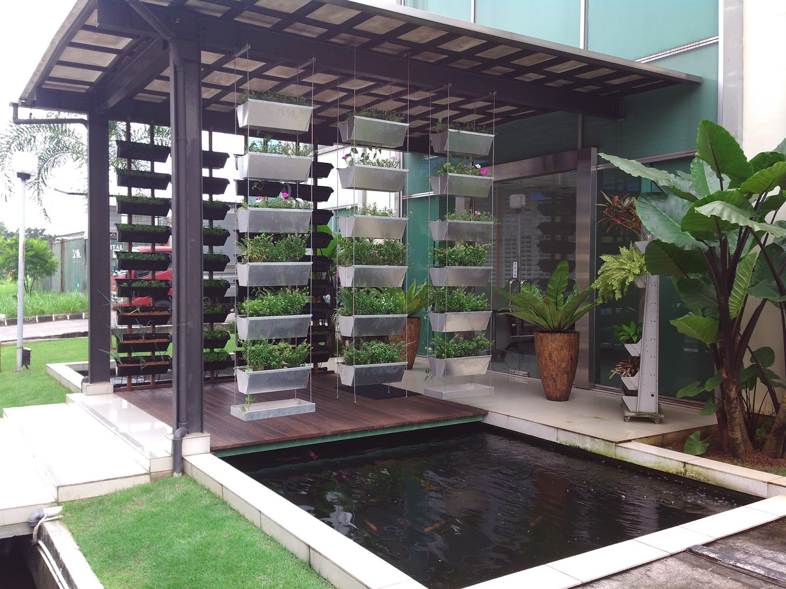 Akuaponik: Solusi Budidaya Ikan dan Sayuran di Lahan Sempit