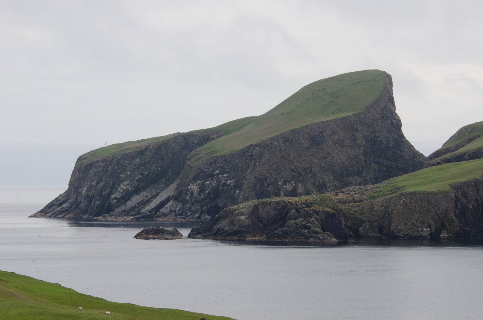 Panun blogi: 20. - 21.7. Lerwick - Grutness Voe - Fair Isle