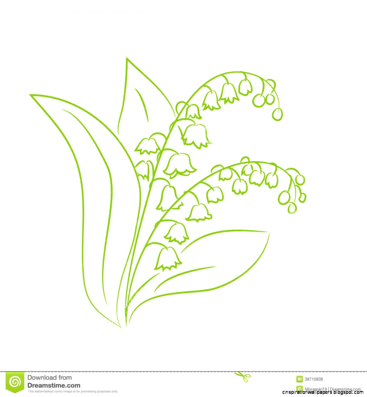 Sketch Of A Flower Lily Of The Valley Royalty Free Stock Photos