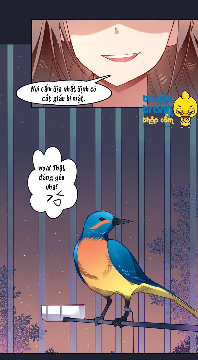 Cẩm Lý Quy - Chương 1 - Trang 37