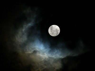 Risultati immagini per paolo d'arpini guru purnima