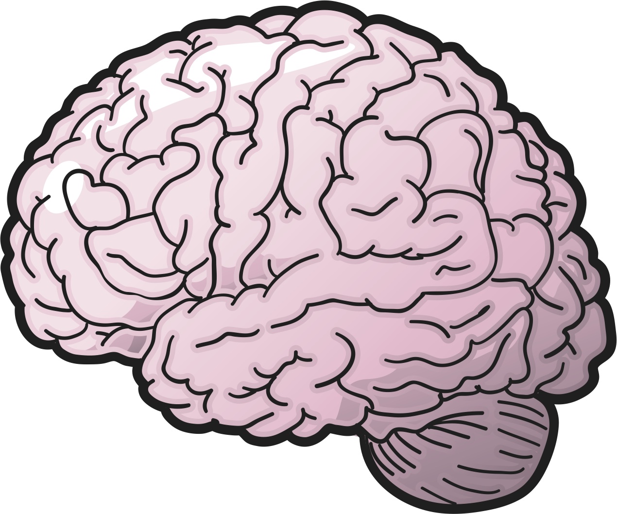 Long brain. Мозг рисунок. Мозг нарисованный. Человеческий мозг рисунок.