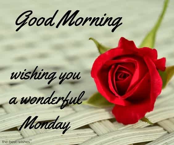 happy-morning-wishing-you-a-wonderful-monday happy morning wishing you a wonderful monday