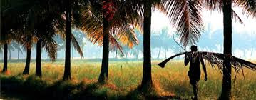Kerala Tourism - Everything to know about Kerala | Gods Own Country | spend with nature