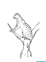 Mewarnai 11 Gambar Jaguar | Mewarnai Gambar