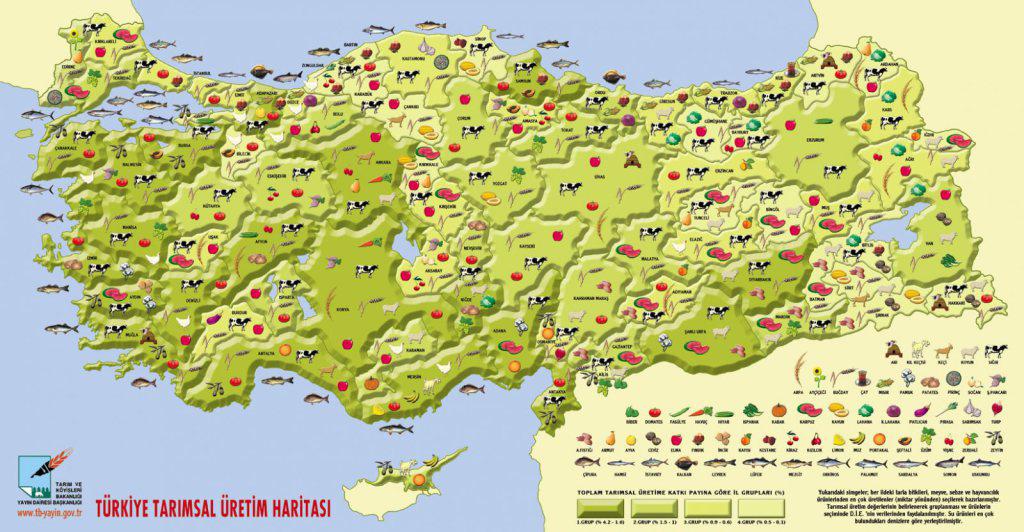 Turkin matkakokemukset ja vinkit: Sivu 28