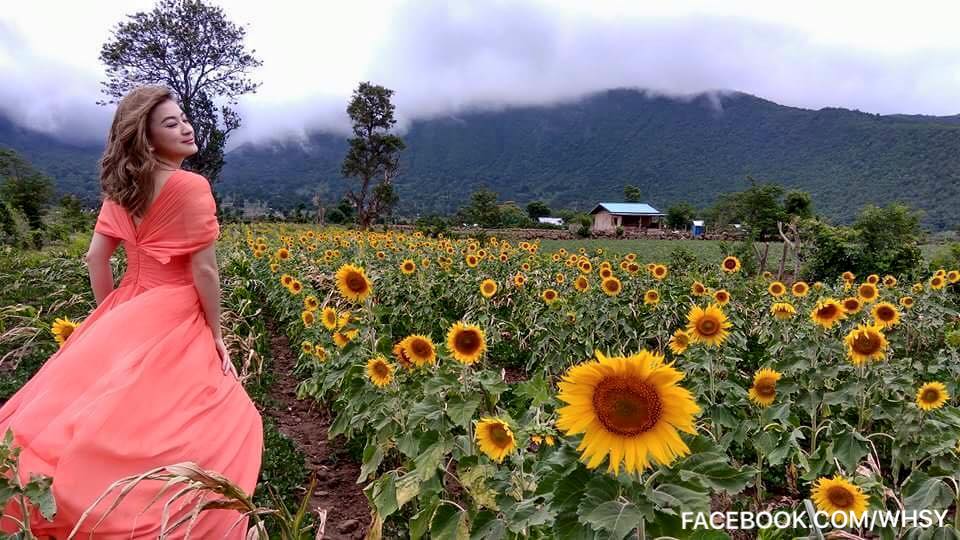 Wut Mhone Shwe Yi In Sunflower Field With Nay Toe And Behind The Scenes Photoshoot 