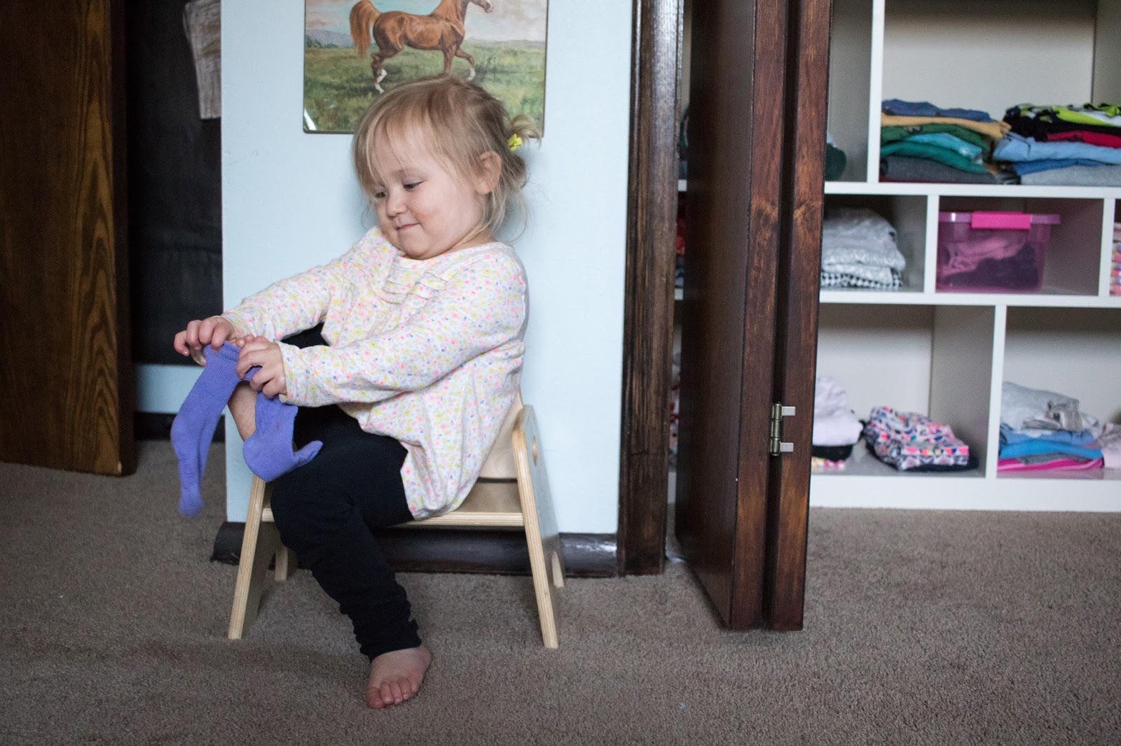 Montessori Toddler 24 to 36 Months