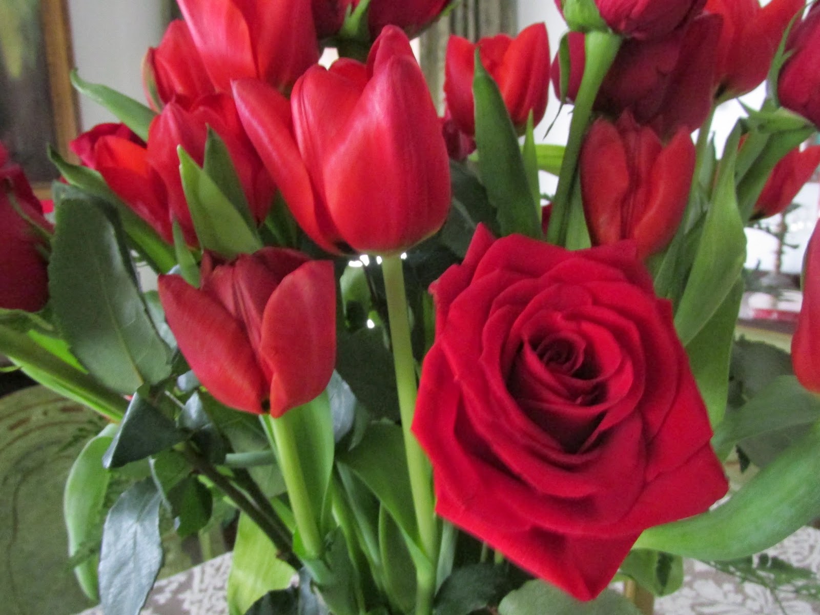 Digging In The Dirt Red flowers